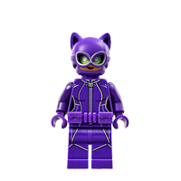 Catwoman? (70902)
