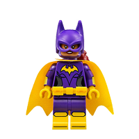Batgirl? (70902)