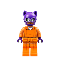 Catwoman?  (70912)